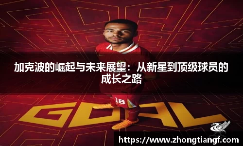 米乐YY易游