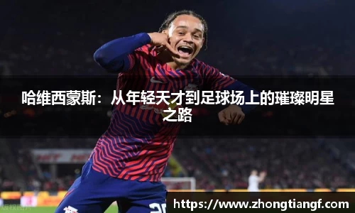 易游