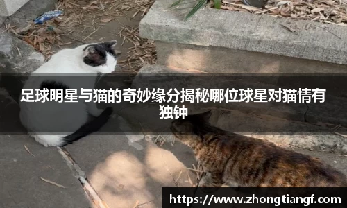 易游体育